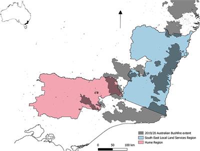 The Australian 2019/2020 Black Summer Bushfires: Analysis of the Pathology, Treatment Strategies and Decision Making About Burnt Livestock